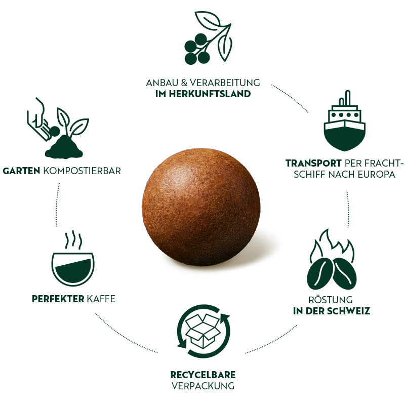 Der Lebenszyklus  eines Coffee Balls von CoffeeB vom Anbau bis zur Kompostierung.