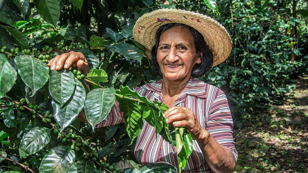 Eine  Kaffeebäuerin steht in einer Kaffeeplantage und hält den Zweig  einer Kaffeepflanze.